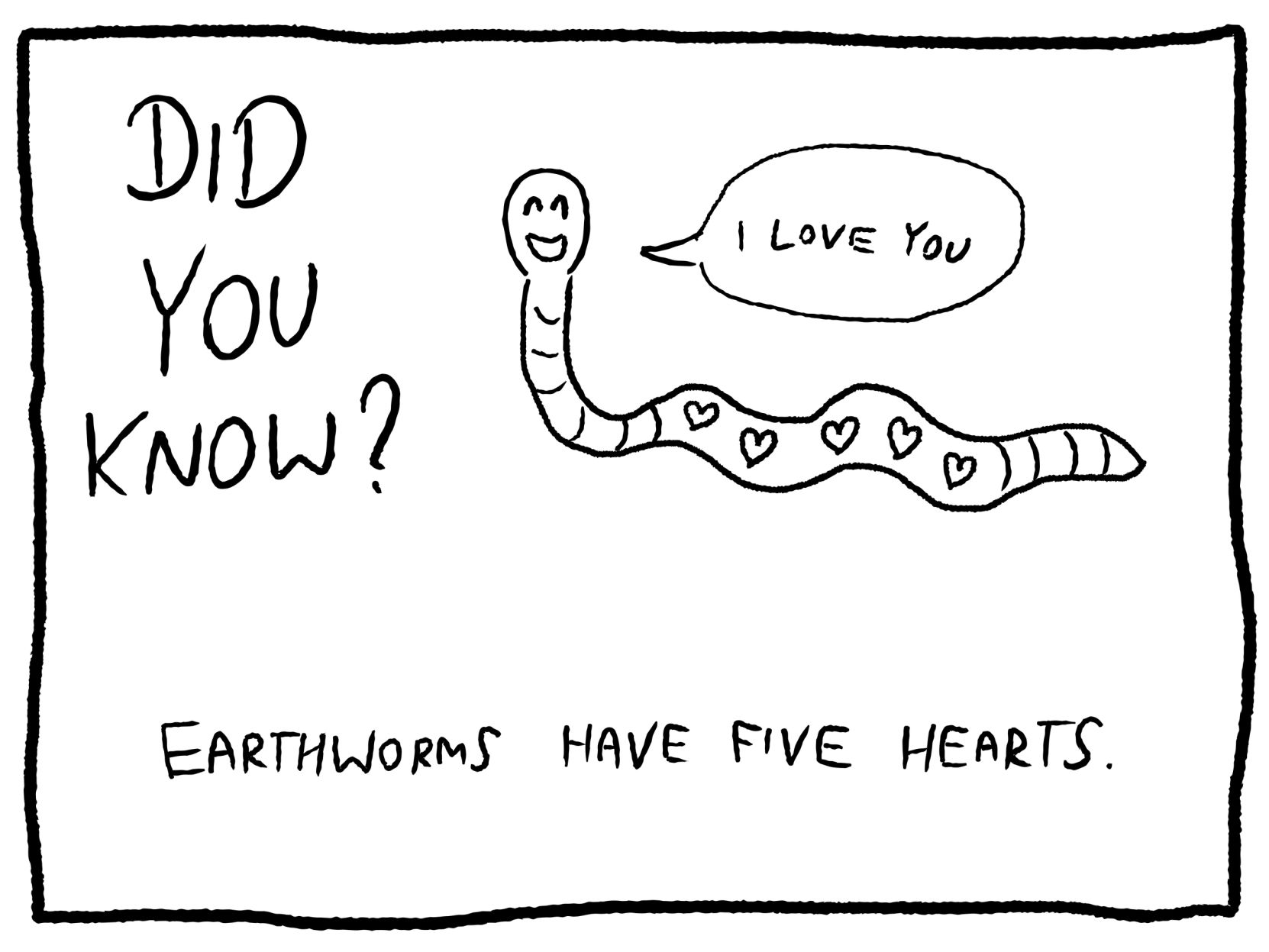 Animal trivia